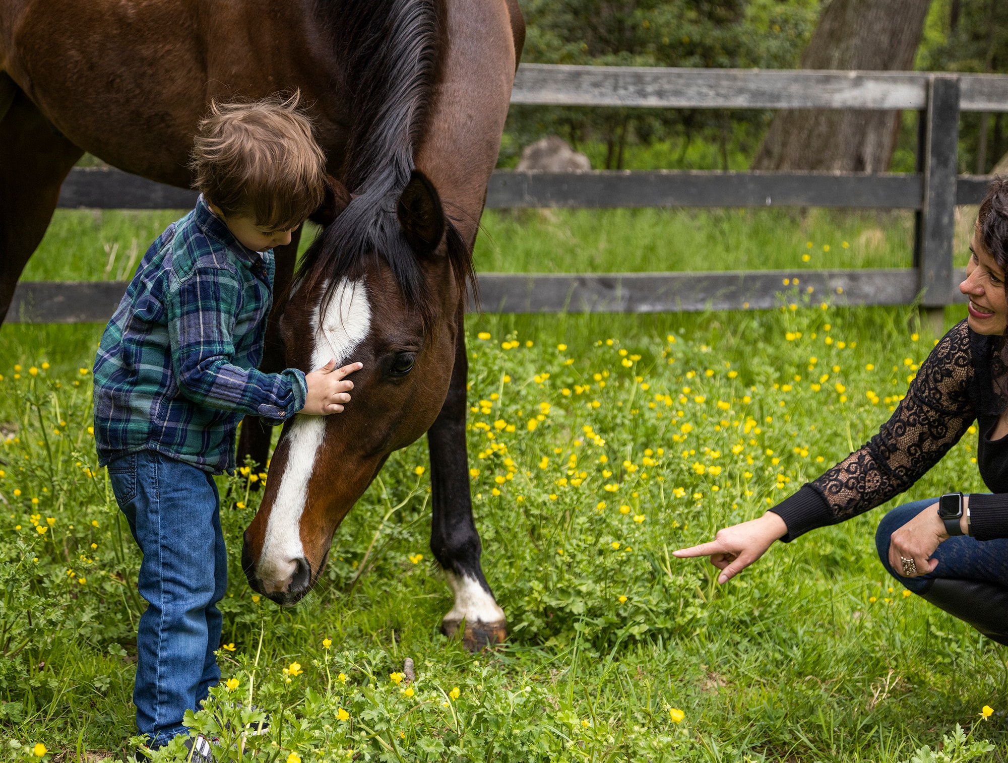 Child gently touching a horse in a spring meadow