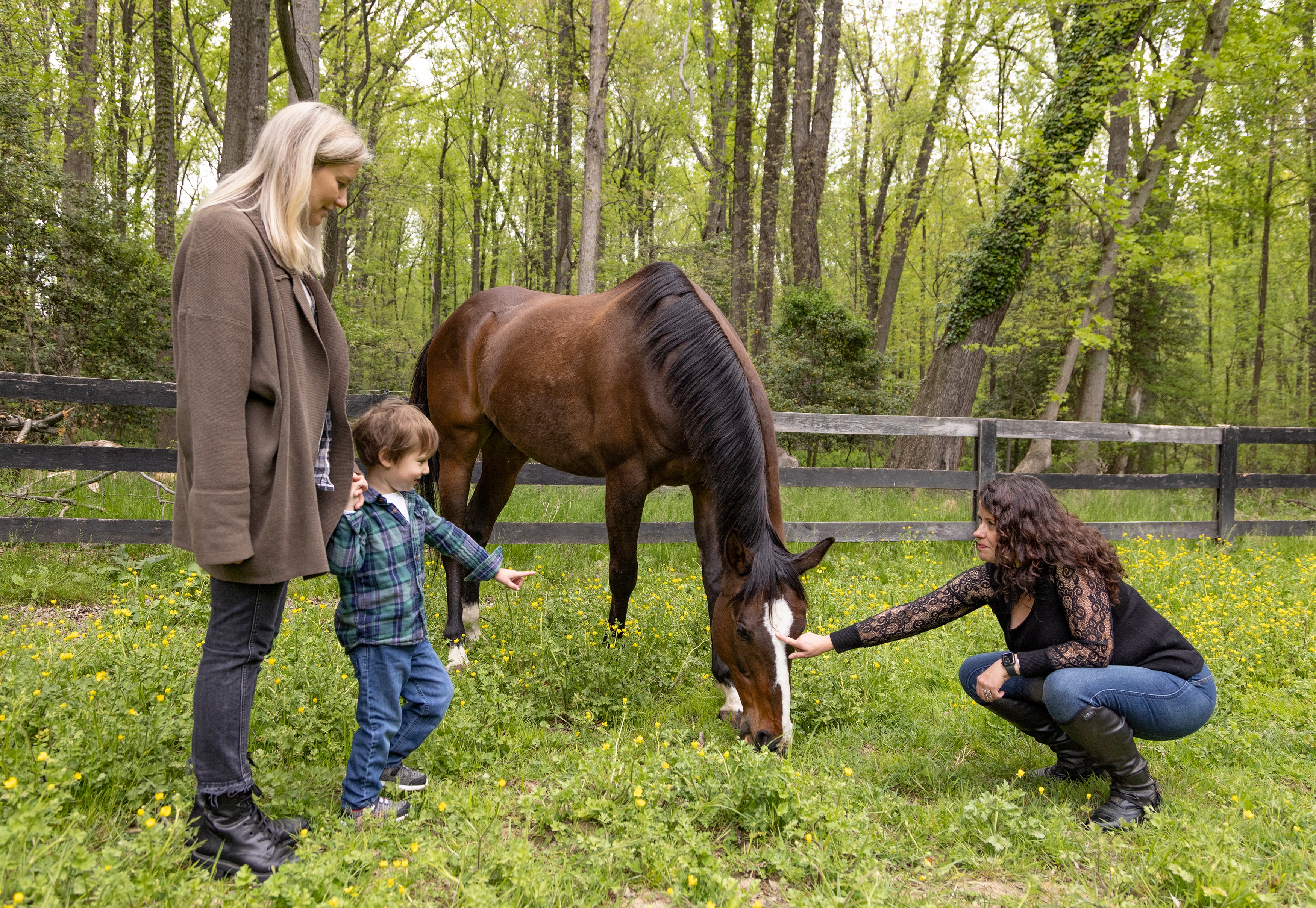 Child and adults spending time with a horse in a wooded meadow